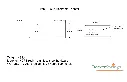 horizontal p-lanter 48''.webp