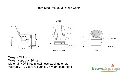 mini deluxe.webp